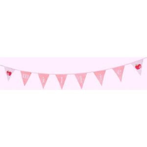 Bunting Kits