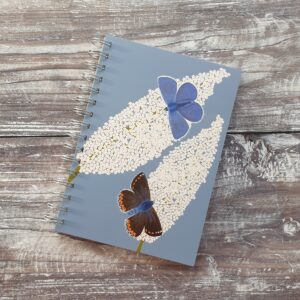 common blue butterfly notebook, daffodowndilly, cre8kits